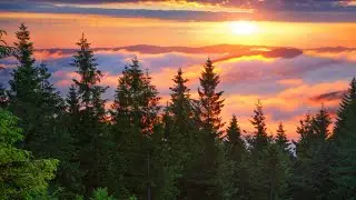 This Beautiful Relaxing Music Effectively Combats Stress and Insomnia !!