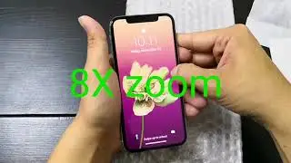 iPhone X Screen Protector From Dendrobates Neither Plastic N