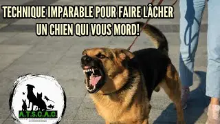 Technique imparable pour faire lâcher un chien qui vous mord. #chien #chiens