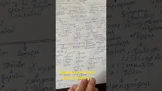 Дулат руы шежіресі 