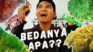 RUMPUT LAUT MALAH NGGAK MIRIP RUMPUT?? | ENSEACLOPEDIA #2