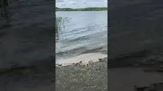 Релакс