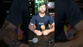 Google vs Alexa Day 24  #mrefey