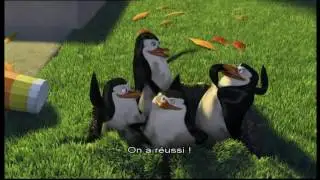 [Bande-annonce] Madagascar