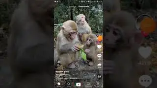 Viral Bidan Cantik vs Anak Mantan