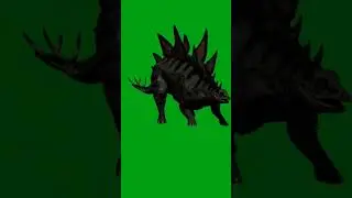 dinosaur green screen video | 