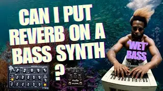The 'WET BASS