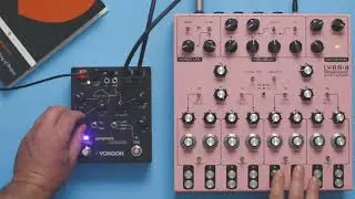 Soma Lyra 8 + Vongon Paragraphs