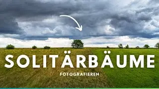 Solitärbäume fotografieren! #fotografie #solitärbäume #landschaft