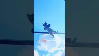 Маленькому Чепусику приснилась удачная охота 🌞🐁😻 