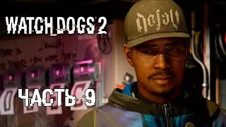 Прохождение Watch Dogs 2 [NC] — Часть 9: Глаз за глаз