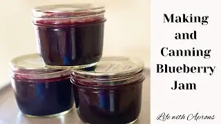 Making and Canning Blueberry Jam with Pomona's Universal Pectin