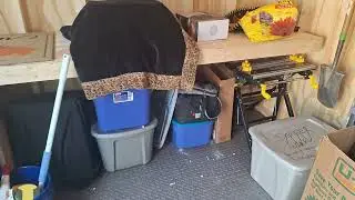 JOURNEY INTO BUYING A MANUFACTURED HOME:  Inside the Shed