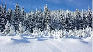 Чем пахнет зима