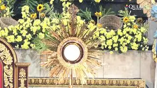02.12.2023 (6th Sunday in Ordinary Time) 7PM 