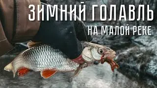 WINTER CHUB! MICROJIG FISHING | Winter SPINNING on a small river.