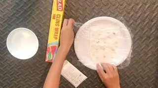 How to Seed Start