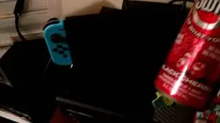 My new 3rd Party Nintendo Switch Joy-Con.