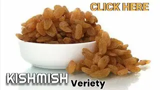 Dried grapes (Raisins) || Dried Fruits of India || raisin types good healthy kishmish