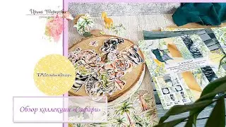 Обзор коллекции «Сафари»