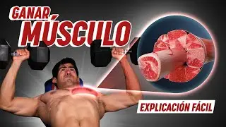 ¿Cómo Crecen los Músculos? (Explicación Científica Fácil y Clara)