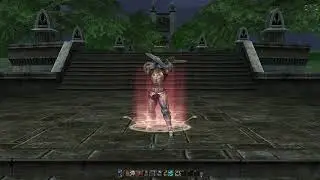 Use skills Paladin | Phoenix Knight [Lineage II - Interlude]