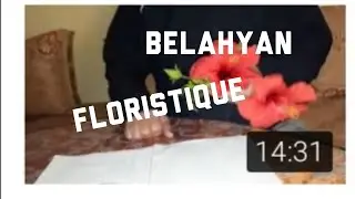 Organisation florale de l'hibiscus (Hibiscus rosa sinensis )..F/Malvacees. S4