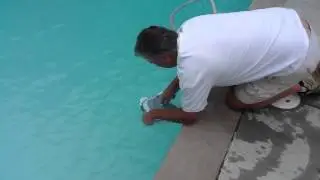 How to Install your automatic pool cleaner - from your Virginia Pool Builder, Ultimate Pools