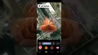 Миша панч