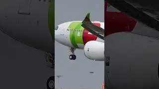 A330 Neo Landing 👌✈️