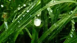 Yiruma - Kiss the rain