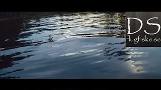 Vulgatafiske i Ottersjön och Bergsjön, Tiveden maj 2014