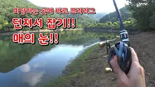 라이징한 곳에 바로 프리리그 던져서 주워먹기(#배스낚시)