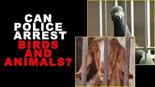 can police arrest birds and animals? | क्या पुलिस पक्षियों और जानवरों को गिरफ्तार कर सकती है?