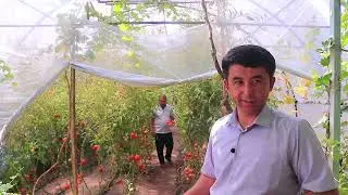 Булоқбоши тумани Юксалиш МФЙ ҳоким ёрдамчиси Рустам Боймирзаев иш фаолияти юзасидан видеолавҳа.