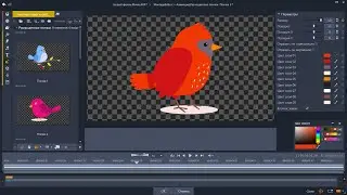 Animation FX Colorful Birds for Pinnacle Studio