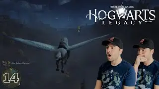 Hogwarts Legacy - Gameplay / The epic adventure continues (14)