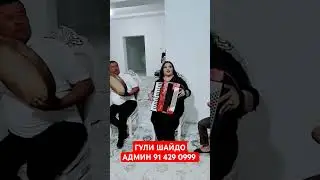 ГУЛИ ШАЙДО АДМИН 91 429 0999 #музыка  #топ #shorts #short #shortvideo #shortsvideo #trend #тренд