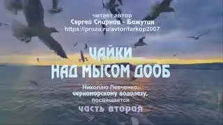 Сергей Смирнов "Чайки над мысом Дооб". Часть 2.