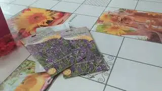 итоги продаж овощной рассады 2020.