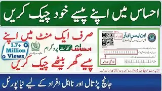 How To Check Ehsaas Payment In 1 Minute || Check Ehsaas kafalat Payment At Home Online New Portal