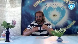 Об элементарных частицах с позиции Ииссиидиологии