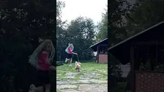 Тойчик и Вика🐶❤️