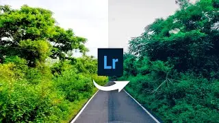 How to edit green moody in Lightroom mobile | Professional pics editing in Lightroom 2021