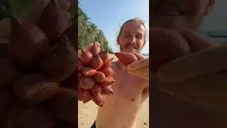 The Spikiest Fruit In The World