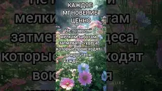 ВОЛШЕБНИК КАЖДЫЙ ДЕНЬ