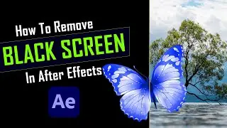 How to remove black screen in adobe After effects