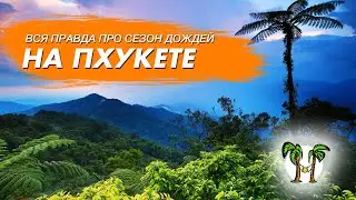 Вся правда про низкий сезон в Таиланде. Погода на Пхукете, погода в Паттайе, погода на Самуи 2024