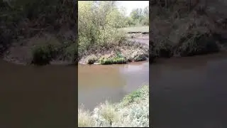 Рыбалка на карася, река Стярле.