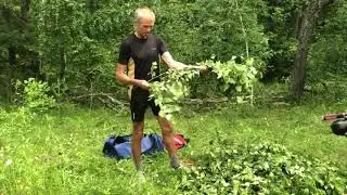 Заготовка березовых веников для бани от заслуженного мастера спорта России - Игоря Тяжкороба.